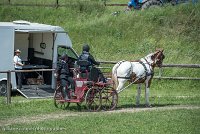 001 P01-MANIABILITE- ATTELAGE - 27052017-ATE 0968 : 2017, 27 Mai 2017, Concours ATTELAGE 2017, Maniabilité, P01