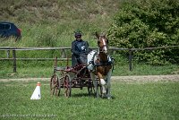 003 P01-MANIABILITE- ATTELAGE - 27052017-ATE 0970 : 2017, 27 Mai 2017, Concours ATTELAGE 2017, Maniabilité, P01