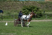 004 P01-MANIABILITE- ATTELAGE - 27052017-ATE 0971 : 2017, 27 Mai 2017, Concours ATTELAGE 2017, Maniabilité, P01