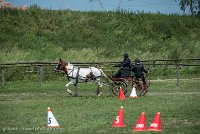 005 P01-MANIABILITE- ATTELAGE - 27052017-ATE 0972 : 2017, 27 Mai 2017, Concours ATTELAGE 2017, Maniabilité, P01