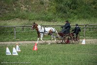 006 P01-MANIABILITE- ATTELAGE - 27052017-ATE 0973 : 2017, 27 Mai 2017, Concours ATTELAGE 2017, Maniabilité, P01