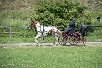 007 P01-MANIABILITE- ATTELAGE - 27052017-ATE 0974 : 2017, 27 Mai 2017, Concours ATTELAGE 2017, Maniabilité, P01