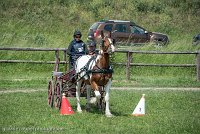 008 P01-MANIABILITE- ATTELAGE - 27052017-ATE 0975 : 2017, 27 Mai 2017, Concours ATTELAGE 2017, Maniabilité, P01