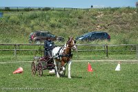 009 P01-MANIABILITE- ATTELAGE - 27052017-ATE 0976 : 2017, 27 Mai 2017, Concours ATTELAGE 2017, Maniabilité, P01