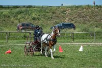 010 P01-MANIABILITE- ATTELAGE - 27052017-ATE 0977 : 2017, 27 Mai 2017, Concours ATTELAGE 2017, Maniabilité, P01