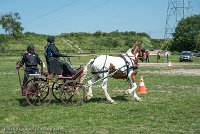 012 P01-MANIABILITE- ATTELAGE - 27052017-ATE 0979 : 2017, 27 Mai 2017, Concours ATTELAGE 2017, Maniabilité, P01