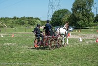 013 P01-MANIABILITE- ATTELAGE - 27052017-ATE 0980 : 2017, 27 Mai 2017, Concours ATTELAGE 2017, Maniabilité, P01