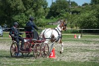 014 P01-MANIABILITE- ATTELAGE - 27052017-ATE 0981 : 2017, 27 Mai 2017, Concours ATTELAGE 2017, Maniabilité, P01