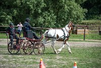 015 P01-MANIABILITE- ATTELAGE - 27052017-ATE 0982 : 2017, 27 Mai 2017, Concours ATTELAGE 2017, Maniabilité, P01