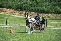 016 P01-MANIABILITE- ATTELAGE - 27052017-ATE 0983 : 2017, 27 Mai 2017, Concours ATTELAGE 2017, Maniabilité, P01