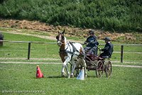 017 P01-MANIABILITE- ATTELAGE - 27052017-ATE 0984 : 2017, 27 Mai 2017, Concours ATTELAGE 2017, Maniabilité, P01