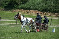 018 P01-MANIABILITE- ATTELAGE - 27052017-ATE 0985 : 2017, 27 Mai 2017, Concours ATTELAGE 2017, Maniabilité, P01