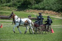 019 P01-MANIABILITE- ATTELAGE - 27052017-ATE 0986 : 2017, 27 Mai 2017, Concours ATTELAGE 2017, Maniabilité, P01