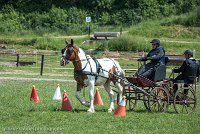 020 P01-MANIABILITE- ATTELAGE - 27052017-ATE 0987 : 2017, 27 Mai 2017, Concours ATTELAGE 2017, Maniabilité, P01