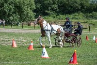 023 P01-MANIABILITE- ATTELAGE - 27052017-ATE 0990 : 2017, 27 Mai 2017, Concours ATTELAGE 2017, Maniabilité, P01