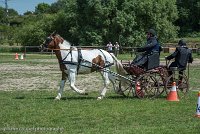 024 P01-MANIABILITE- ATTELAGE - 27052017-ATE 0991 : 2017, 27 Mai 2017, Concours ATTELAGE 2017, Maniabilité, P01