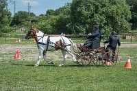 025 P01-MANIABILITE- ATTELAGE - 27052017-ATE 0992 : 2017, 27 Mai 2017, Concours ATTELAGE 2017, Maniabilité, P01