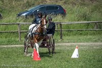 027 P01-MANIABILITE- ATTELAGE - 27052017-ATE 0994 : 2017, 27 Mai 2017, Concours ATTELAGE 2017, Maniabilité, P01