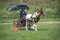 028 P01-MANIABILITE- ATTELAGE - 27052017-ATE 0995 : 2017, 27 Mai 2017, Concours ATTELAGE 2017, Maniabilité, P01