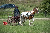 029 P01-MANIABILITE- ATTELAGE - 27052017-ATE 0996 : 2017, 27 Mai 2017, Concours ATTELAGE 2017, Maniabilité, P01