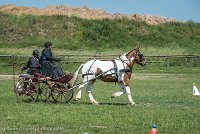 030 P01-MANIABILITE- ATTELAGE - 27052017-ATE 0997 : 2017, 27 Mai 2017, Concours ATTELAGE 2017, Maniabilité, P01