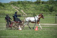 031 P01-MANIABILITE- ATTELAGE - 27052017-ATE 0998 : 2017, 27 Mai 2017, Concours ATTELAGE 2017, Maniabilité, P01