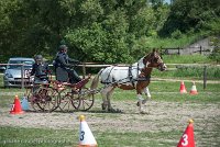 032 P01-MANIABILITE- ATTELAGE - 27052017-ATE 0999 : 2017, 27 Mai 2017, Concours ATTELAGE 2017, Maniabilité, P01