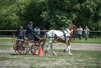 033 P01-MANIABILITE- ATTELAGE - 27052017-ATE 1000 : 2017, 27 Mai 2017, Concours ATTELAGE 2017, Maniabilité, P01