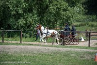 034 P01-MANIABILITE- ATTELAGE - 27052017-ATE 1001 : 2017, 27 Mai 2017, Concours ATTELAGE 2017, Maniabilité, P01