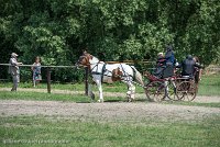 035 P01-MANIABILITE- ATTELAGE - 27052017-ATE 1002 : 2017, 27 Mai 2017, Concours ATTELAGE 2017, Maniabilité, P01