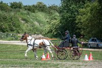 036 P01-MANIABILITE- ATTELAGE - 27052017-ATE 1003 : 2017, 27 Mai 2017, Concours ATTELAGE 2017, Maniabilité, P01