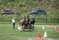 037 P01-MANIABILITE- ATTELAGE - 27052017-ATE 1004 : 2017, 27 Mai 2017, Concours ATTELAGE 2017, Maniabilité, P01