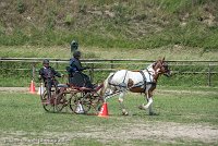 038 P01-MANIABILITE- ATTELAGE - 27052017-ATE 1005 : 2017, 27 Mai 2017, Concours ATTELAGE 2017, Maniabilité, P01