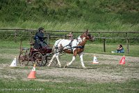 039 P01-MANIABILITE- ATTELAGE - 27052017-ATE 1006 : 2017, 27 Mai 2017, Concours ATTELAGE 2017, Maniabilité, P01