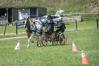 040 P01-MANIABILITE- ATTELAGE - 27052017-ATE 1007 : 2017, 27 Mai 2017, Concours ATTELAGE 2017, Maniabilité, P01