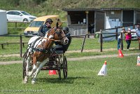 041 P01-MANIABILITE- ATTELAGE - 27052017-ATE 1008 : 2017, 27 Mai 2017, Concours ATTELAGE 2017, Maniabilité, P01