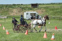 042 P01-MANIABILITE- ATTELAGE - 27052017-ATE 1009 : 2017, 27 Mai 2017, Concours ATTELAGE 2017, Maniabilité, P01