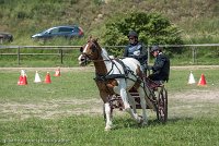 043 P01-MANIABILITE- ATTELAGE - 27052017-ATE 1010 : 2017, 27 Mai 2017, Concours ATTELAGE 2017, Maniabilité, P01