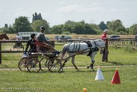 001 P07-MANIABILITE- ATTELAGE - 27052017-ATE 1230 : 2017, 27 Mai 2017, Concours ATTELAGE 2017, Maniabilité, P07