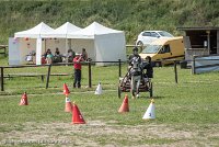 002 P07-MANIABILITE- ATTELAGE - 27052017-ATE 1231 : 2017, 27 Mai 2017, Concours ATTELAGE 2017, Maniabilité, P07