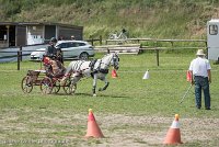 003 P07-MANIABILITE- ATTELAGE - 27052017-ATE 1232 : 2017, 27 Mai 2017, Concours ATTELAGE 2017, Maniabilité, P07