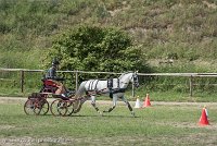 004 P07-MANIABILITE- ATTELAGE - 27052017-ATE 1233 : 2017, 27 Mai 2017, Concours ATTELAGE 2017, Maniabilité, P07