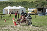 006 P07-MANIABILITE- ATTELAGE - 27052017-ATE 1235 : 2017, 27 Mai 2017, Concours ATTELAGE 2017, Maniabilité, P07