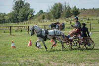 009 P07-MANIABILITE- ATTELAGE - 27052017-ATE 1238 : 2017, 27 Mai 2017, Concours ATTELAGE 2017, Maniabilité, P07