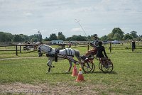 010 P07-MANIABILITE- ATTELAGE - 27052017-ATE 1239 : 2017, 27 Mai 2017, Concours ATTELAGE 2017, Maniabilité, P07