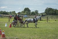 011 P07-MANIABILITE- ATTELAGE - 27052017-ATE 1240 : 2017, 27 Mai 2017, Concours ATTELAGE 2017, Maniabilité, P07