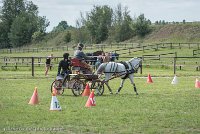 012 P07-MANIABILITE- ATTELAGE - 27052017-ATE 1241 : 2017, 27 Mai 2017, Concours ATTELAGE 2017, Maniabilité, P07