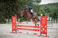 0001CSO SAINT AULDE- GP 125 - DOLCE DU GRAND ROUTHEUX 0309GP125CSO 6754- : 2016, 3 juillet 2016, BRIDOUX Thibault, CSO Saint Aulde, DOLCE DU GRAND ROUTHEUX, Grand Prix 125cm