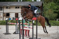 0005CSO SAINT AULDE- GP 125 - DOLCE DU GRAND ROUTHEUX 0312GP125CSO 6758- : 2016, 3 juillet 2016, BRIDOUX Thibault, CSO Saint Aulde, DOLCE DU GRAND ROUTHEUX, Grand Prix 125cm