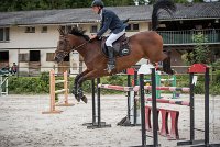 0007CSO SAINT AULDE- GP 125 - DOLCE DU GRAND ROUTHEUX 0313GP125CSO 6760- : 2016, 3 juillet 2016, BRIDOUX Thibault, CSO Saint Aulde, DOLCE DU GRAND ROUTHEUX, Grand Prix 125cm